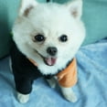 thumbnail image 6 of Vnanda Dog Pumpkin Costume Pet Halloween Hoodie Doggie Winter Coat Kitten Sweatshirts Cats Clothes, 6 of 8