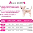thumbnail image 5 of Chihuahua Yorkie Sweater, 2 Pieces Dog Sweaters for Small Dogs, Turtleneck Knitted Dog Clothes for Small Dogs, Winter Warm Pullover Sweaters, Pet Cat Sweater Cold Weather Puppy Clothes Outfits XS, 5 of 6