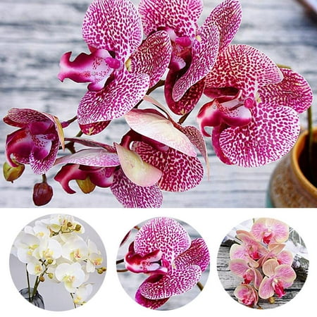 Simulation 3D Artificial Phalaenopsis Butterfly Orchid Flowers Fake Moth Flor Orchid for Wedding Home DIY Decoration Real (Best Flowers To Attract Butterflies)