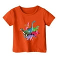 thumbnail image 1 of PMVFHDE Hauts Garçons Mode Décontractée Imprimé Col Rond Manches Courtes T-Shirt Orange, 6-7 Ans, 1 of 3