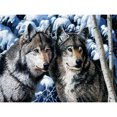 thumbnail image 1 of 30x40 cm 5D DIY Pintura de Diamante Completa, Lobo, DIY Diamante Diamante de imitación Lienzo Pintura de Punto de Cruz por número para decoración de Pared Adultos niños, 1 of 5