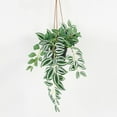 thumbnail image 1 of Lerman Decor hanging plant, 1 of 4