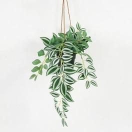 Serene Spaces Living Artificial Orchid In Pot - 26" Tall, 3 White Phalaenopsis, Realistic Home Decor 6 thumbnail image