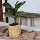 thumbnail image 5 of Naiovety Maceta de cemento de 13 cm para plantas y suculentas, decoración de interiores, maceta de papel kraft. Jardín y Patio, 5 of 6
