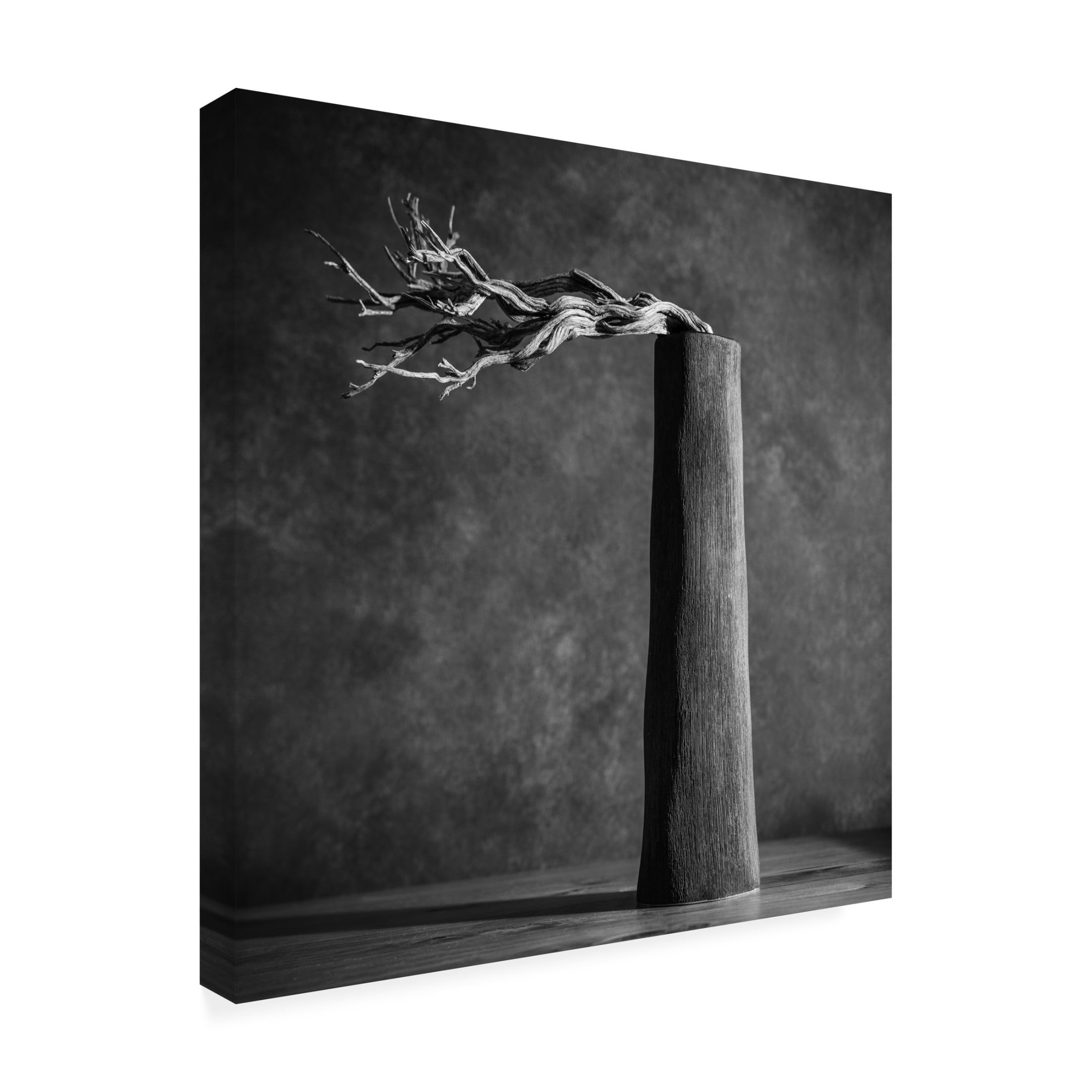Trademark Fine Art Konstantin Weiss  Chimney Canvas Wall Art