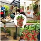 thumbnail image 5 of Bolsa para plantar fresas JM negra 3 galones con 12 agujeros, 5 of 5