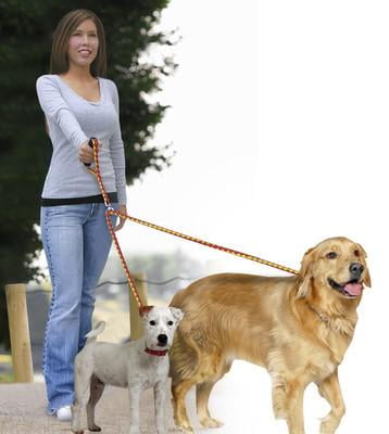 dual dog walker