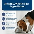 thumbnail image 6 of Blue Buffalo Homestyle Recipe Adult Wet Dog Food, Chicken Dinner, 12.5-oz. Can, 6 of 12