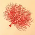 thumbnail image 4 of 1pc Plastic Coral Branch Artificial Coral Decoration Landscape Decoration Props for Wedding Aquarium Home (Red), 4 of 4