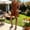 Brown, variant on Women's Short Overalls Romper Casual Summer Bib Shortalls with Pockets