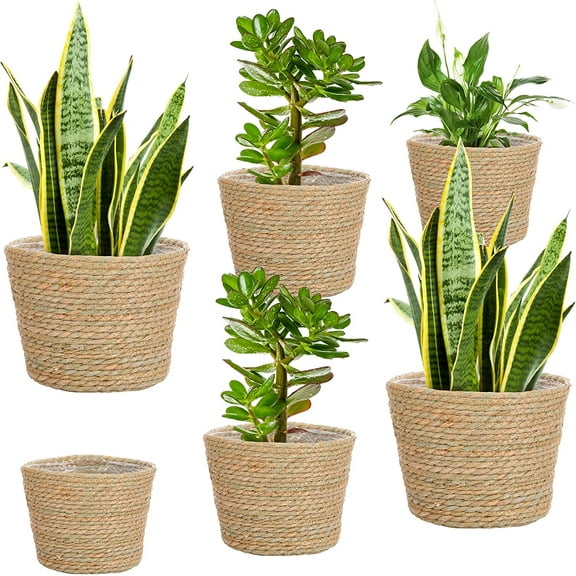 6 Pcs Seagrass Planter Basket Flower Pots Cover Plant Baskets Hand Woven Plant Basket Storage Containers with Plastic Liners for Indoor Outdoor Flower Pots Decoration 10, 7, 8.3 Inch(Classic)