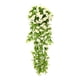 thumbnail image 2 of Flores Colgantes Artificiales, Violetas De Seda Decorativas, Plantas Colgantes Artificiales, Decoración Para Bodas En El Hogar, Decoración Para Eventos En Interiores Y Exteriores, 2 of 9