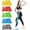 Five Colors 5-80lbs, variant on Resistance Bands for Working Out, Physical Bands, Latex Free Elastic and Exercise Bands Set for Stretching, Suitable for Rehab, Yoga, Pilates, Gym, Exercise