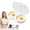 White, variant on Dual Cavity Microwave Egg Poacher with Lid & Handle, Oil-Free Egg Cooker for Breakfast, Food-Grade PP Microwave Egg Maker (Gray)