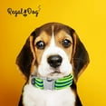 thumbnail image 3 of Regal Dog Products Metal Buckle Collar with D Ring - Fits Small, Medium & Large, 3 of 7