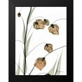 thumbnail image 2 of Koetsier, Albert 12x14 Black Modern Framed Museum Art Print Titled - Sandersonia in Bloom, 2 of 5