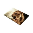thumbnail image 2 of CADecor Lion Doormat Indoor Outdoor Floor Rug 23.6x15.7 inches, 2 of 2