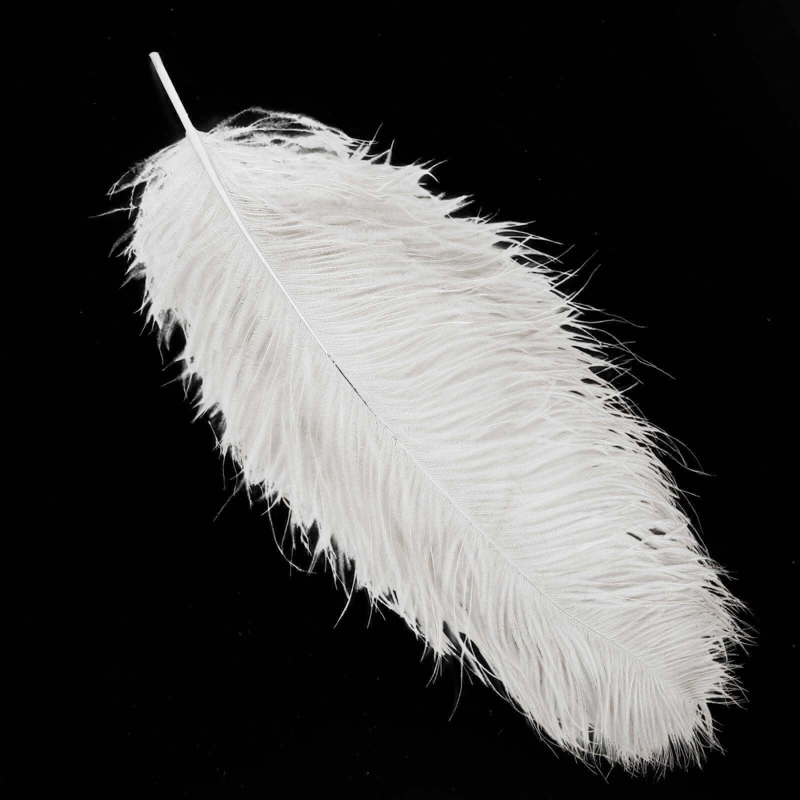 Efavormart 12 RARE 24"-26" Ostrich Plume Feathers For Wedding Birthday Party Dance Banquet Event Decoration - White
