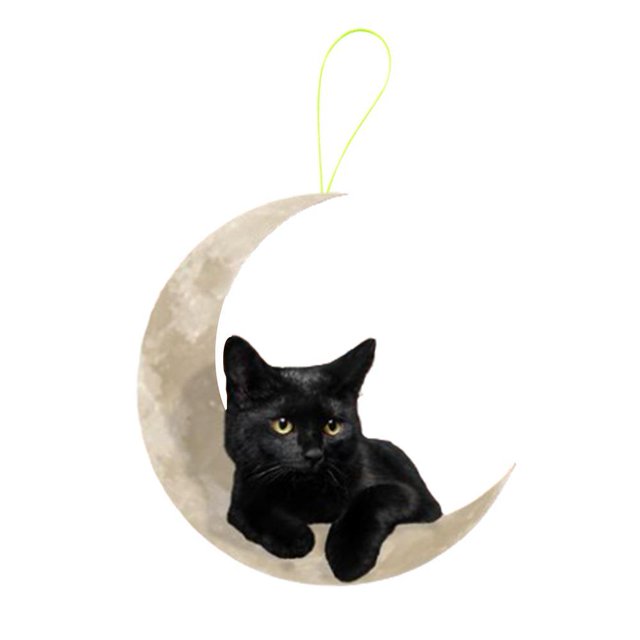 LUVCLS Colgante de gato acrílico para decoración de coche con función de calefacción I9P Prof New N3