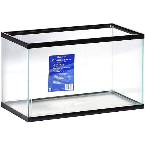 Aquaculture 10 Empty Aquarium