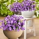 thumbnail image 5 of Eoozwa 3 Packs Artificial Flowers 7-Head Bouquet Realistic Silk Floral Stems for Home Decor Wedding Centerpieces and Outdoor Garden Photography Props Long-Lasting Spring Collection, 5 of 6