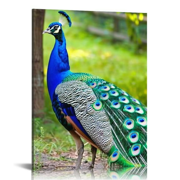 BCIIG Peacock Feathers Fine Art Aesthetic Poster Print Wall Painting for Home Office Decor Canvas Prints Living Room Bedroom Wall Art 12x16 in