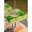 Multicolored with spring green, orange, and other vibrant hues, variant on Easter Bunny Outdoor Tablecloth - 54 Inch Round Dining Table Cover, Spring Garden Floral Botanical Plaid Rustic Waterproof Outdoor Table Cloth with Umbrella Hole & Zipper for Picnic/Patio/Party