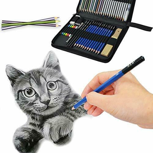 51Pcs Colored Pencils Set Drawing Pencils and Sketching Kit Complete  Artist Kit Includes Graphite Pencils Metallic Color Pencils  Watersoluble Color Pencils Sketch Kit for Drawing  Walmartcom