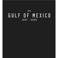 thumbnail image 4 of RIP Gulf of Mexico 1607-2025 Youth Black Crew Neck Short Sleeve Tee-Large, 4 of 4