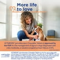 thumbnail image 2 of Vetmedin (Pimobendan) Chewable Tablets for Dogs, 1.25 mg, 2 of 7
