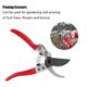 thumbnail image 4 of Garden Pruning Shears, Scissors, Hand Tools for Pruning Fruit Tree Flower Branches, 4 of 4