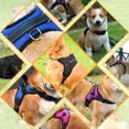 thumbnail image 2 of No-Pull Dog Harness, Adjustable Breathable Comfort, Free Leash Included, for Sma, 2 of 5