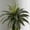 B, variant on A Rtificial B Oston Fern Leaves D Ecor Lifelike Faux Greenery S Tems for Vase Arrangements (28/38/60/88 Leaves) Multiple Sizes 60X50Cm To 110X90Cm