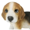 thumbnail image 6 of Ebros Realistic Adorable Tri Color Beagle Dog Puppy Figurine 5.75" Long, 6 of 10
