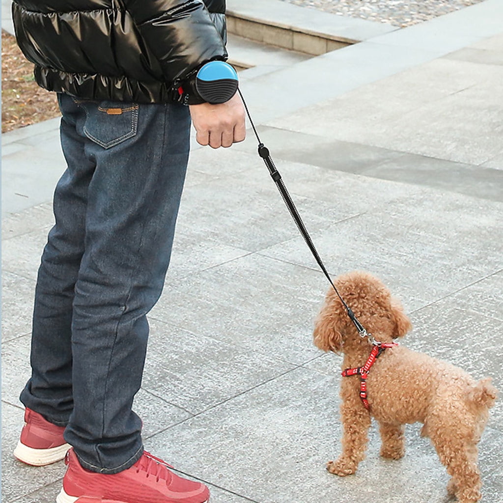 Retractable Dog Leash Extendable Puppy Running Leash Wrist Belt Strap Hands-Free for Big Small Dogs Cats
