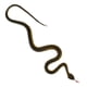 thumbnail image 5 of 5x De Goma Serpiente Scary Broma Juguete Aterrador Sunnimix Juguete de animal de simulación, 5 of 8