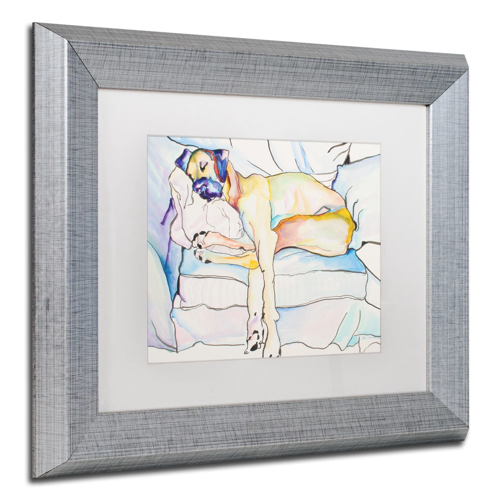 Trademark Fine Art "Sleeping Beauty" Canvas Art by Pat Saunders-White White Matte, Silver Frame