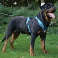 thumbnail image 5 of Sangle de Poitrine pour Grand Chien Antidéflagrante Corde de traction Réfléchissante pour Chien, 5 of 5