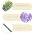 thumbnail image 3 of unbranded 6Ud Planta Artificial De Lavanda Simulada En Violeta Para Decorar Estudio O Oficina, 3 of 8
