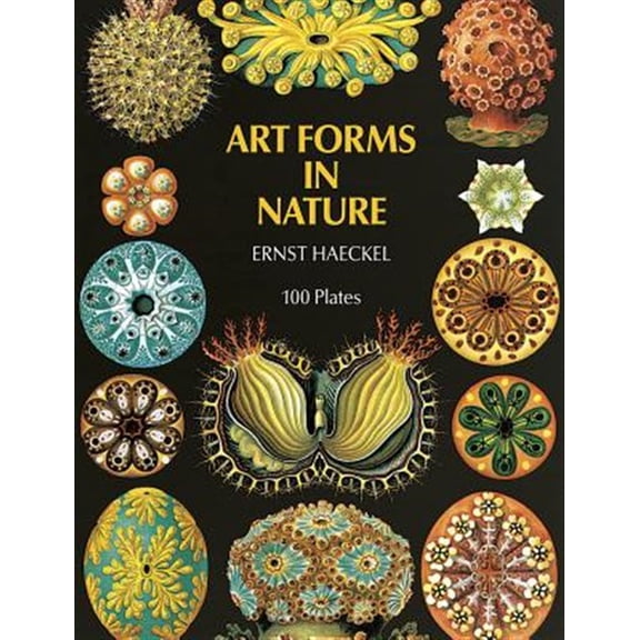 Pre-Owned Dover Pictorial Archive: Art Forms in Nature (Paperback)