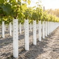 thumbnail image 4 of Klonfd 5 Pack Seedling Sapling Grow Tube Standard Vented Seedling Protectors Split Grow Protector With Releasable Zip Ties Shelter For Trunk Against Deer, 4 of 6