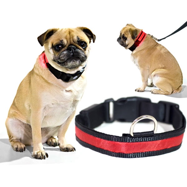 Αποτέλεσμα εικόνας για LED Pet Collar Night Safety Dog Flashing Collar red