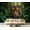 Color 3, variant on Wall Mural Peel and Stick Traditional Japanese Pagoda Red Maple Trees Sunset Sky Self-Adhesive Wallpaper Removable Wall Decal Wall Sticker Home Decor for Living Room Bedroom 100"x144"