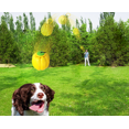 thumbnail image 4 of Pelota para lanzar a mano para perros, Molar antimordidas, Pelota de entrenamiento para perros perdigueros, Suministros para mascotas (Naranja) JAMW Sencillez, 4 of 5