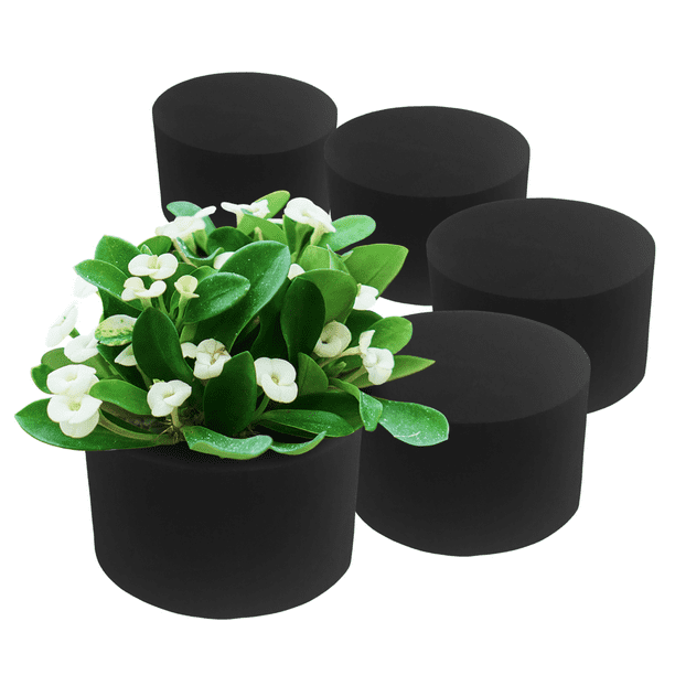 XCEL 6 Pack Round Floral Foam 5 X 3 Thick Floral Block For Artificial