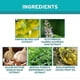 thumbnail image 4 of Clear Ear Support Elixir - Relieve Tinnitus & Ear Discomfort, Clean Inner Ear Health Solution, 4 of 5