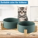 thumbnail image 2 of Cuenco de cerámica para perros y gatos con soporte para alimentador de comida y agua, juego de cuencos para mascotas, moderno, bonito y pesado, 2 of 5