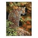 thumbnail image 1 of Dimensiones de artesanía con estampado de animales Needlecrafts Gloria Kits de manualidades de punto de cruz 38 x 49 cm, 1 of 8