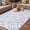 White Gray, variant on Gray Blue Dandelion Outdoor Rug for Patio/Deck/Porch, Non-Slip Large Area Rug 5 x 7 Ft, Spring Flowers Modern Minimalist Indoor Outdoor Rugs Washable Area Rugs, Reversible Camping Rug Carpet Runner
