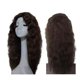 thumbnail image 1 of Peluca Delantera Pelo Rizado Pelo Humano Peluca de encaje sin pegamento, 1 of 8
